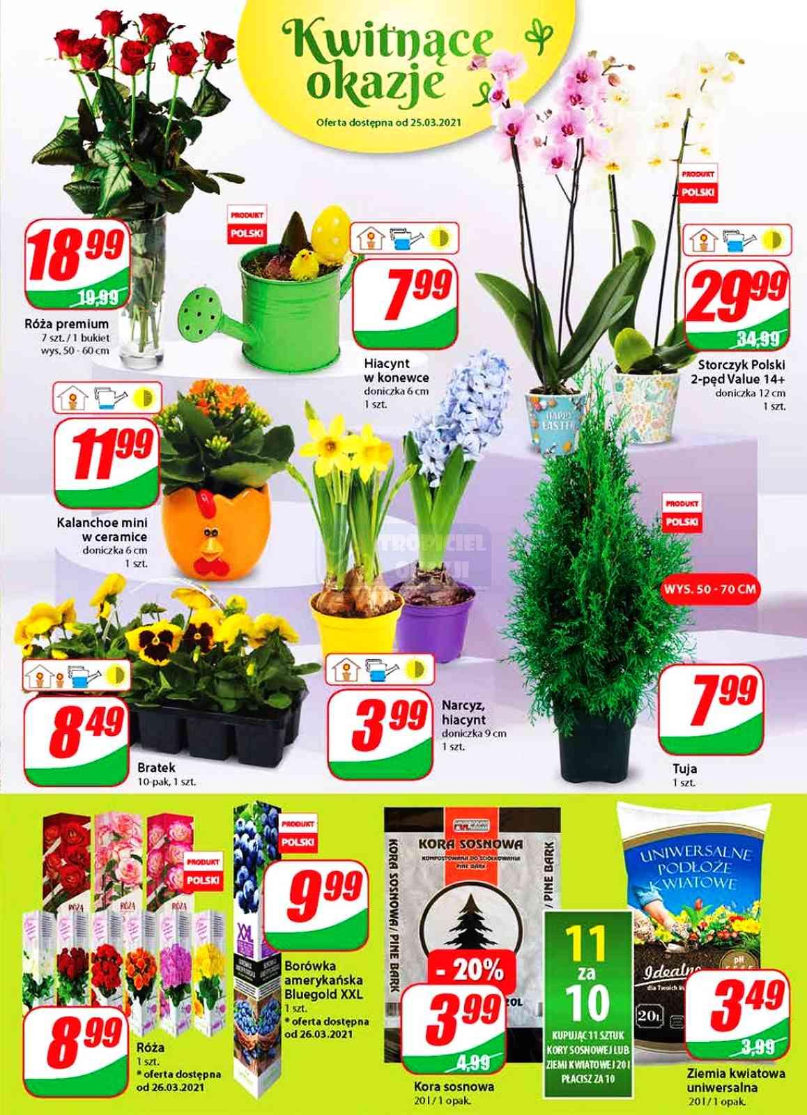 Gazetka promocyjna DINO str. 19