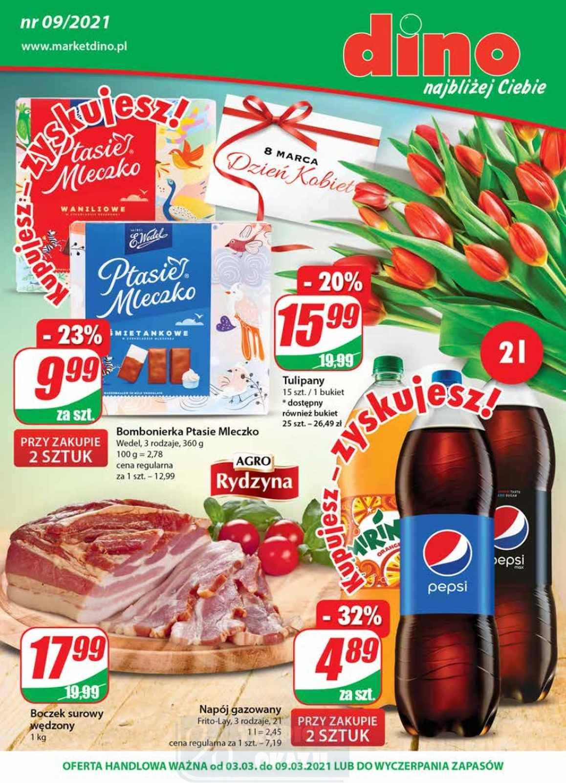 Gazetka promocyjna DINO str. 1